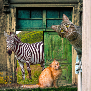 familie